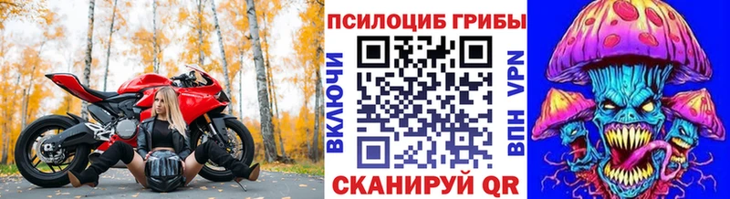 blacksprut как зайти  Ленинск  Галлюциногенные грибы Psilocybine cubensis 